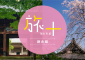 2024年3月　旅プラス　鎌倉の誇る厳かな寺院と春の花々のコラボレーション