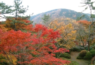 【周辺情報】箱根：山も色づく季節に、紅葉狩りの名所めぐり