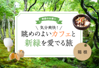 2022年5月　―気分爽快！眺めのよいカフェと新緑を愛でる旅―　箱根