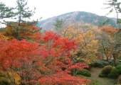 【周辺情報】箱根：山も色づく季節に、紅葉狩りの名所めぐり