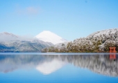 【周辺情報】箱根：澄んだ空気の中で富士山を望む絶景スポットをご紹介♪