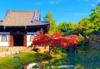 【周辺情報】京都：色づく紅葉の絶景スポット
