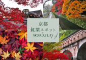 【周辺情報】京都：秋本番！近隣紅葉スポットのご紹介♪