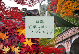 【周辺情報】京都：秋本番！近隣紅葉スポットのご紹介♪
